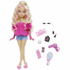 Mattel Barbie Dream Besties Malibu und Accessoires