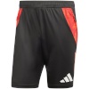 Lühikesed püksid meestele Adidas Tiro 24 Competition Training must-punane IR5484 XL