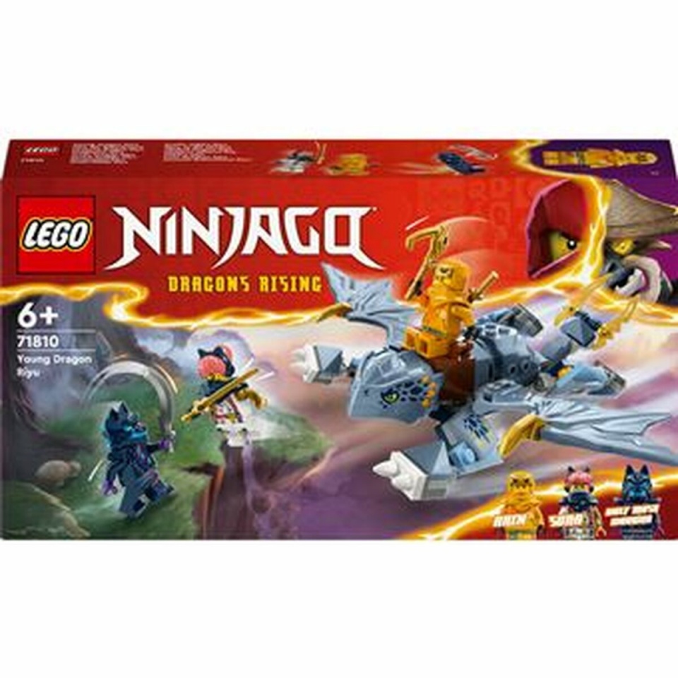 Lego klotsid konstruktor Ninjago Young Dragon Riyu