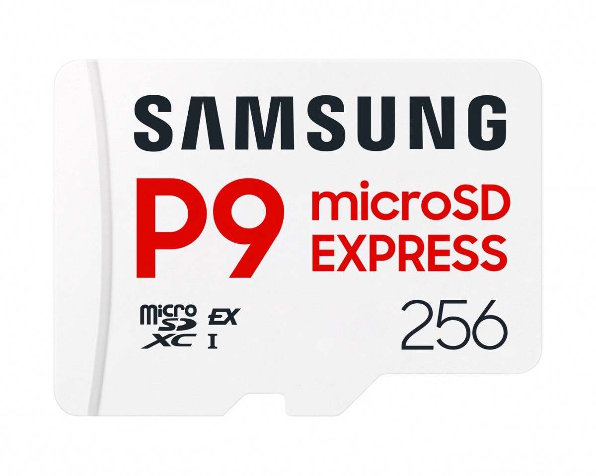 Samsung mälukaart microSD crad P9 Express MB-MK256T/WW