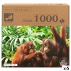 Colorbaby pusle Orangutan 6 Ühikut 68x 50x 0,1cm