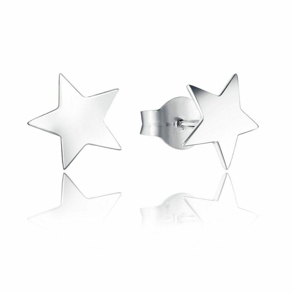 Viceroy naiste kõrvarõngad 6008E000-00