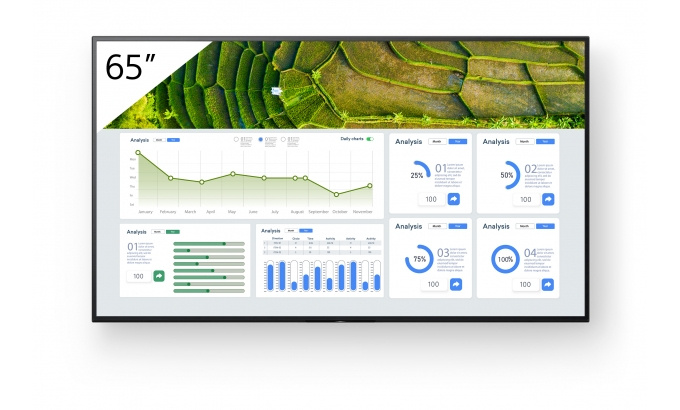 Sony esitlusekraan Digital Signage FW-65BZ30L FW65BZ30L Bravia Professional Displays (FW-65BZ30L)