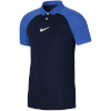 Nike Team T-särk meestele Academy PR SS Polo K tumesinine-sinine DH9228 451 suurus M