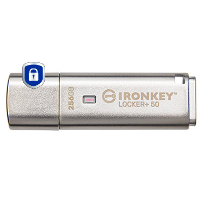 Kingston mälupulk USB-Stick 256GB IronKey Encryption