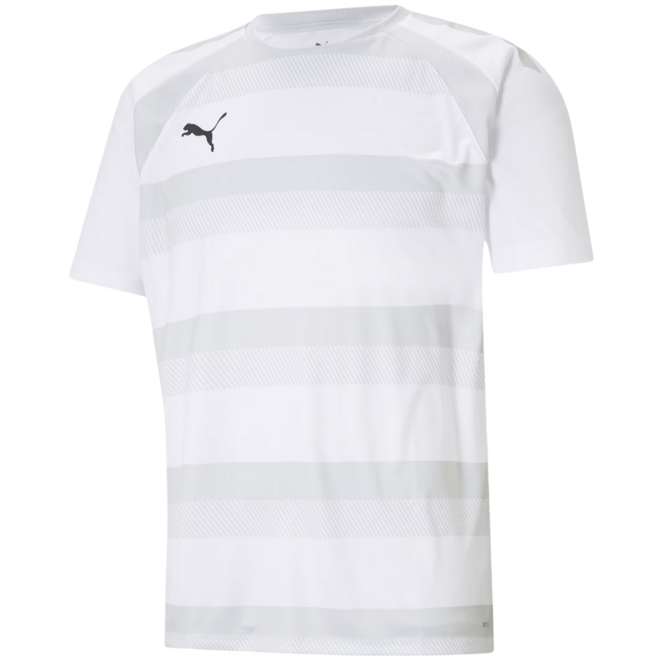 Puma T-särk meestele Teamvision Jersey valge 704921 04 suurus S