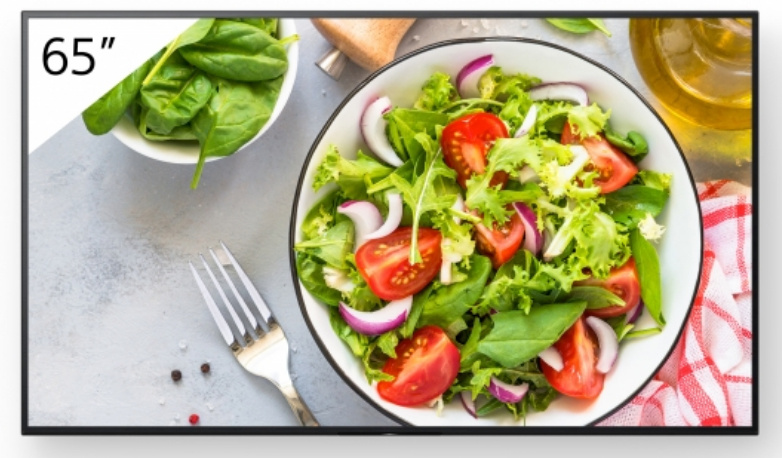 Sony esitlusekraan Digital Signage FW-65BZ35L FW65BZ35L Bravia Professional Displays (FW-65BZ35L)