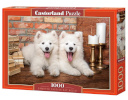 Castor pusle 1000-osaline puppies Samoyed