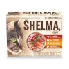 Shelma kassitoit with Turkey, Duck, Chicken and Beef in Sauce, 12x85g