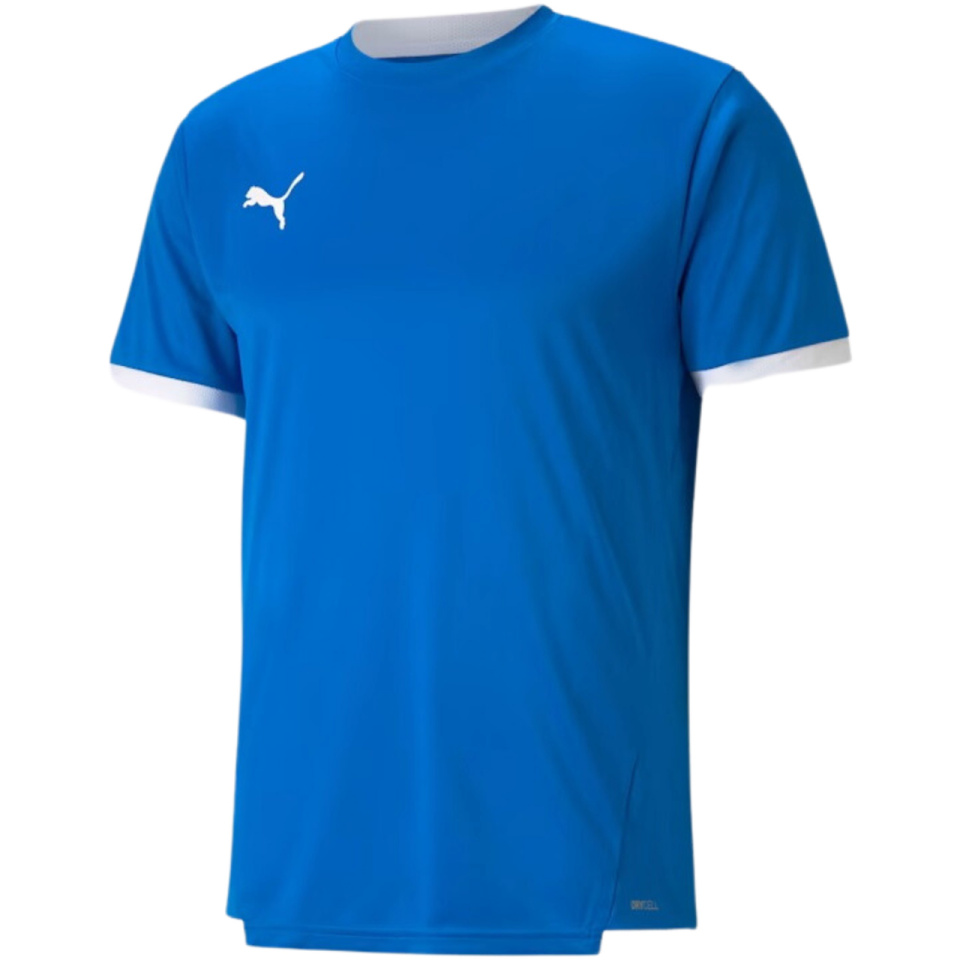 Puma T-särk meestele Teamliga Jersey sinine 704917 02 suurus XL