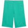 Lühikesed püksid Kids Puma Ess Small No.1 Logo roheline 692974 40 140cm