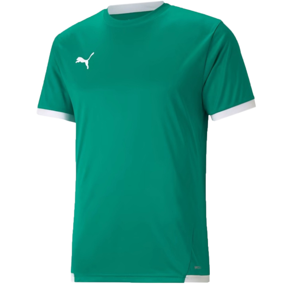 Puma T-särk meestele Teamliga Jersey roheline 704917 05 suurus M