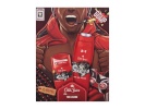 Old Spice komplekt Wolfthorn Deostick 50ml + Shower Gel 3in 250ml, meestele