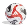 Adidas jalgpall Tiro Pro HT2428 5