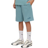 Lühikesed püksid Kids Puma Ess Small No.1 Logo sinine 692974 47 116cm