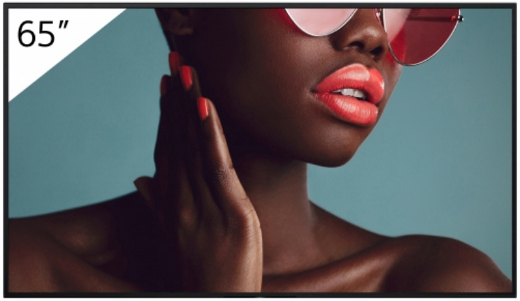 Sony esitlusekraan Digital Signage FW-65BZ40L FW65BZ40L Bravia Professional Displays (FW-65BZ40L)