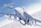 Italeri liimitav mudel Plastic Model F/A-18E Super Hornet