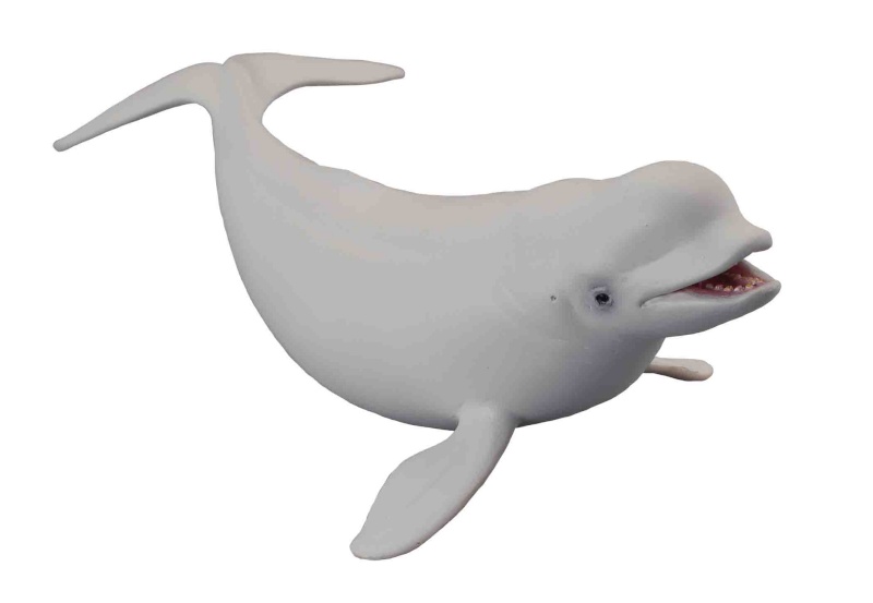 Collecta Beluga vaal 88568