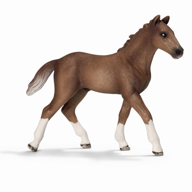 Collecta (XL) Morgani täkk tumeraudjas, 88647