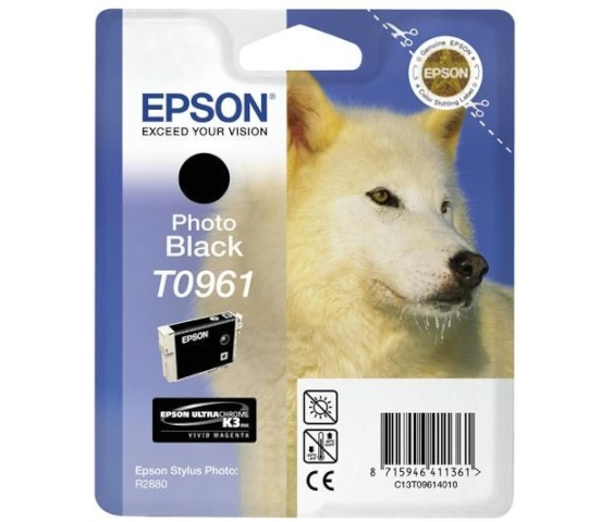 Epson tindikassett T0961 must