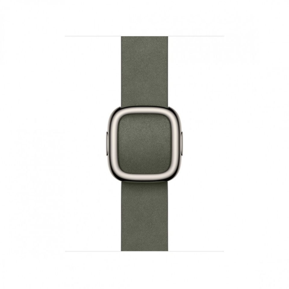 Apple kellarihm Watch 42mm Sage hall Modern Buckle - Small