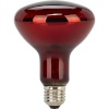 Beurer infrapunalamp Replacement Lamp for Red Light and Infrared Lamps, 1tk