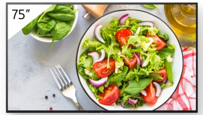 Sony esitlusekraan Digital Signage FW-75BZ35L FW75BZ35L Bravia Professional Displays (FW-75BZ35L)