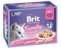 Brit kassitoit Premium Family Plate Fillets in Jelly Mix of Flavors, 12x85g
