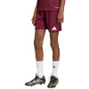 Lühikesed püksid Kids Adidas Entrada 26 bordoopunane JZ6527 152cm