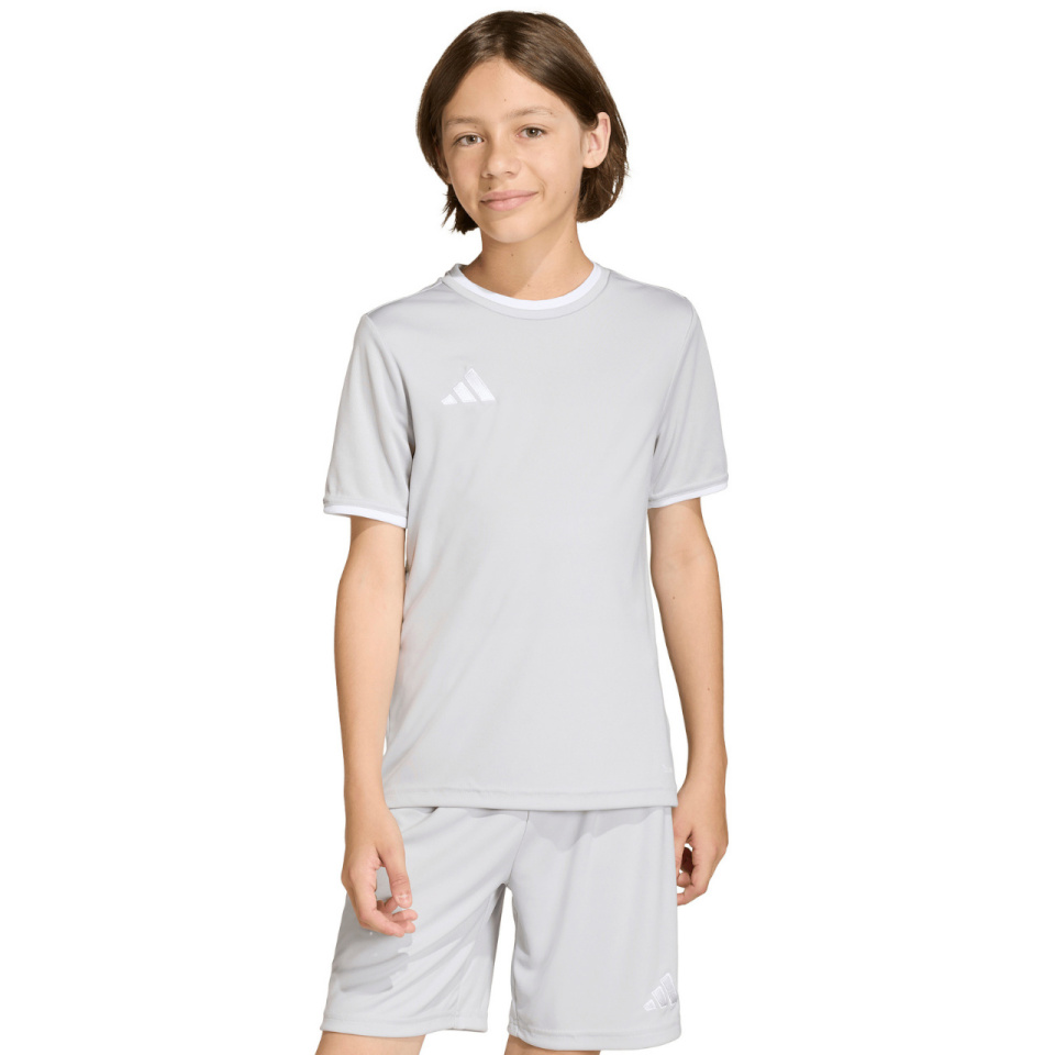 Adidas Teamwear T-särk lastele Entrada 26 Jersey hall JZ2525 suurus 152cm