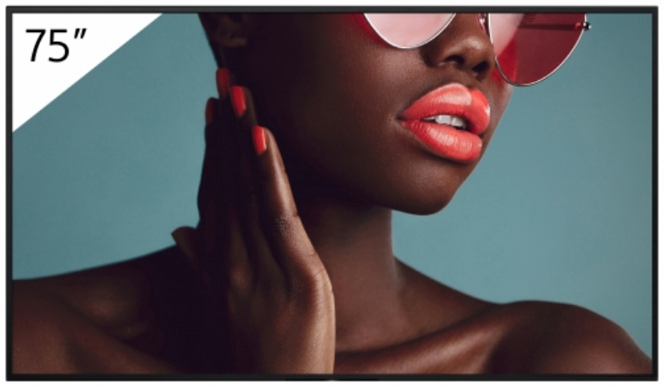 Sony esitlusekraan Digital Signage FW-75BZ40L FW75BZ40L Bravia Professional Displays (FW-75BZ40L)