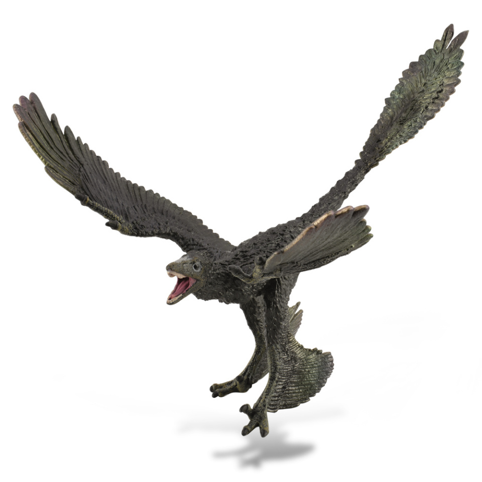 Collecta Mikroraptor - skaala 1: 6, (XL), 88875