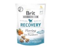 Brit maius koerale Care Dog Recovery & Herring, 150g