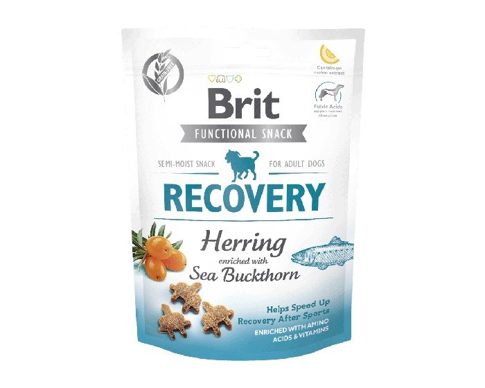 Brit maius koerale Care Dog Recovery & Herring, 150g