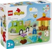 LEGO klotsid 10419 DUPLO Imkerei und Bienenstöcke