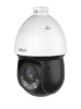 Dahua turvakaamera Net Camera 4MP Ptz Dome
