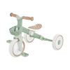 Smj jalgratas Globber Learning Trike 2w1 Plus Pistacjowy 737-109