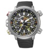 Citizen meeste kell BN4021-02E must