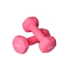 Yellow Sport hantlid Dumbbell Set 2x2kg roosa