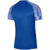 Nike Team T-särk meestele NK DF Academy Jersey SS sinine DH8031 463 suurus M