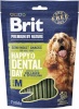 Brit maius koerale Premium Dog Snack Dental M, 180g