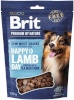 Brit maius koerale Premium Dog Snack Lamb with Seabuckthorn, 180g