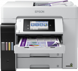 Epson multifunktsionaalne tindiprinter Ecotank Pro ET-5880, valge/must