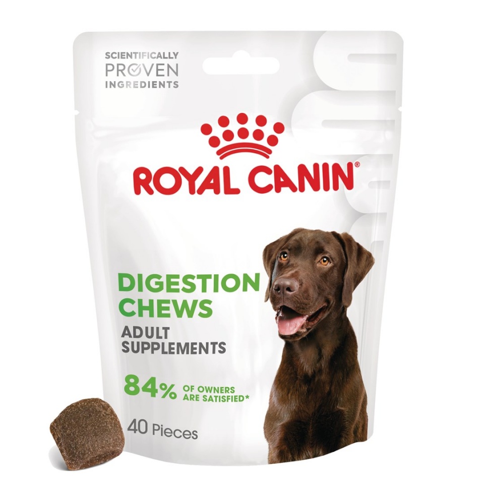 Royal Canin maius koerale Supplements Dog Digestion Adult, 160g
