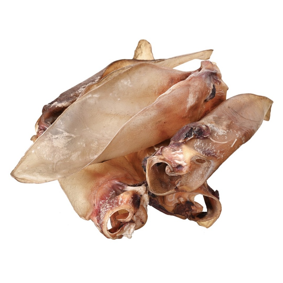 Petitto maius koerale Beef Ear with Cartilage, 10tk