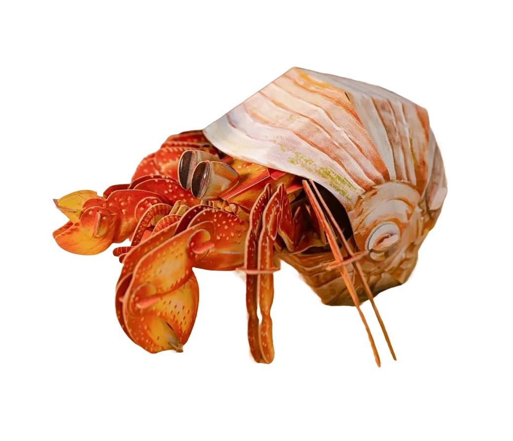 MAKEBUG 3D paberist pusle Erakvähk, MB-B-0008