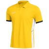 Nike Team T-särk meestele Dri-Fit Academy 25 SS Polo kollane FZ9759 719 suurus S