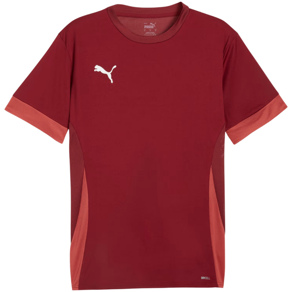 Puma T-särk meestele Teamgoal Matchday Jersey bordoopunane 705747 09 suurus XL
