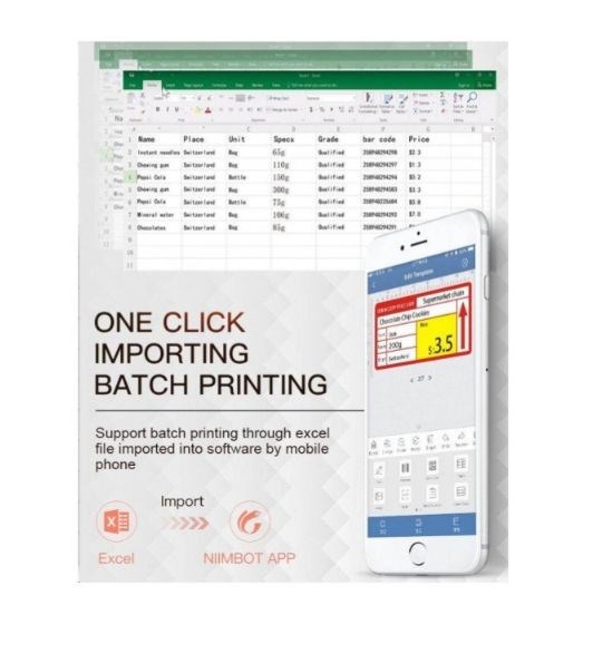 Niimbot B21 S Label Printer, valge