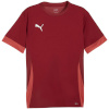 Puma T-särk meestele Teamgoal Matchday Jersey bordoopunane 705747 09 suurus XXL